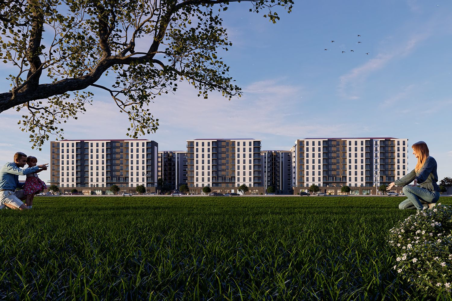 The district seen across an open field with a family